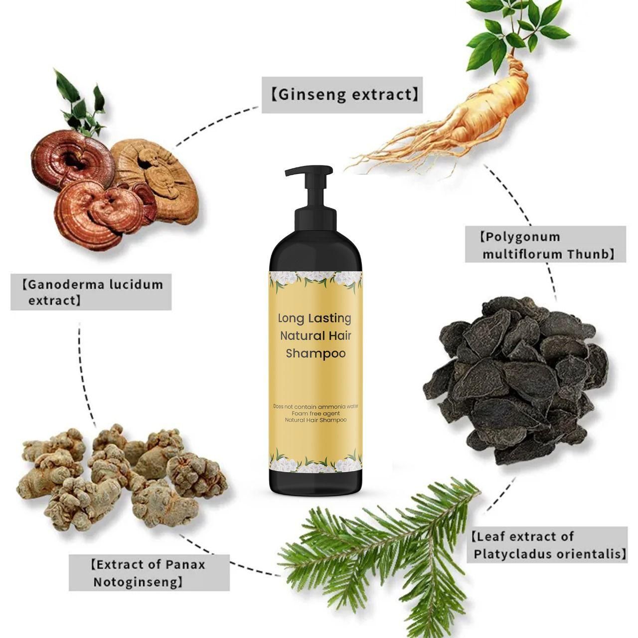 Long Lasting Natural Hair Dye Shampoo Buy 1 Get 1 Free